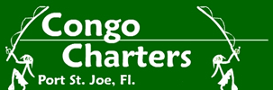 Congo Charters